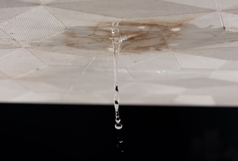 Slab Leak Warning: 5 Signs of Hidden Pipe Leaks in Your Home