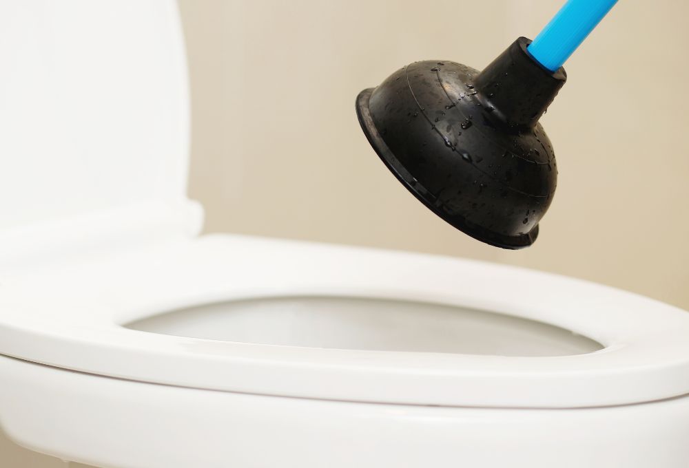 Holiday Guests: 5 Plumbing Tips to Prevent Clogged Toilets
